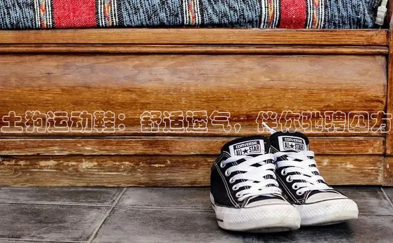 b体育旧版手机版每日互动土狗运动鞋：舒适透气，伴你驰骋四方