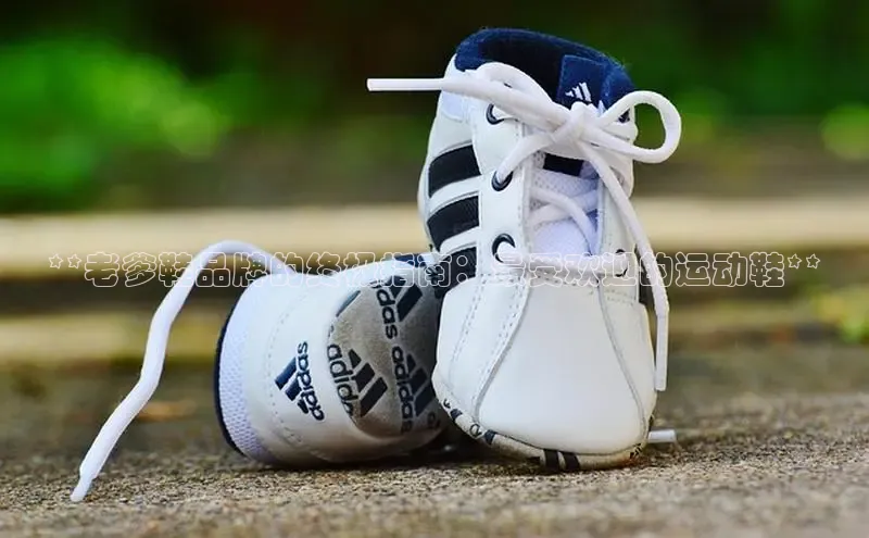 B体育官方入口APP百度信誉**老爹鞋品牌的终极指南：最受欢迎的运动鞋**