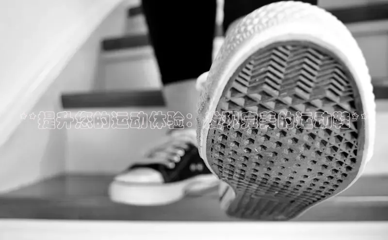 b体育旧版手机版百度众测**提升您的运动体验：发现完美的运动鞋**