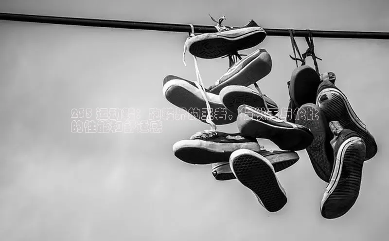 Bsports手机版同程235 运动鞋：跑鞋界的王者，提供无与伦比
的性能和舒适感