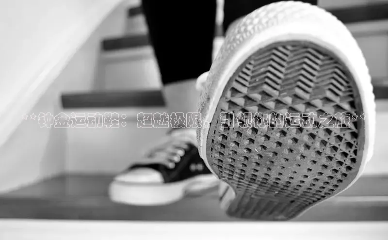 b体育(中国)官方网站京东**钟金运动鞋：超越极限，引领你的运动之旅**