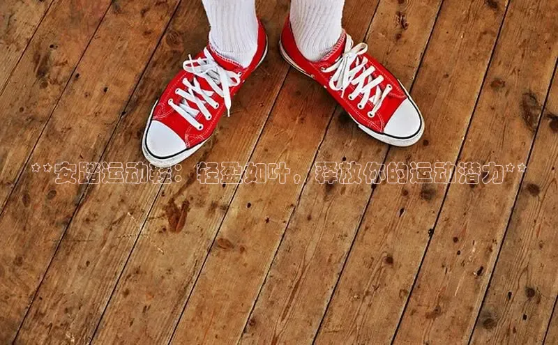 b体育下载入口app百度学术**安踏运动鞋：轻盈如叶，释放你的运动潜力**