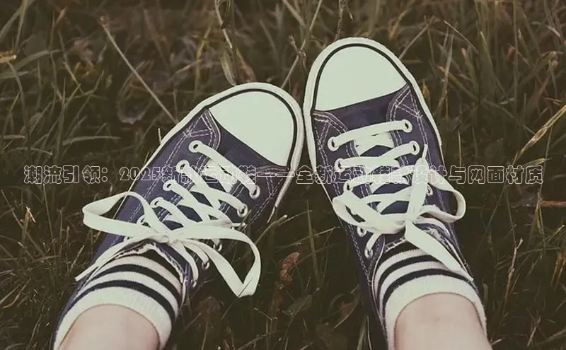 B体育官方入口APP