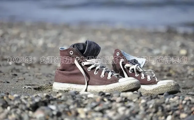 B体育官方入口APP