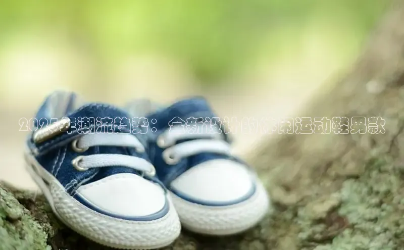 B体育app在线登录下载