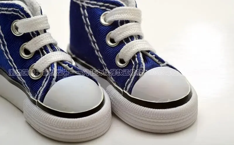 B体育官方网站入口官网